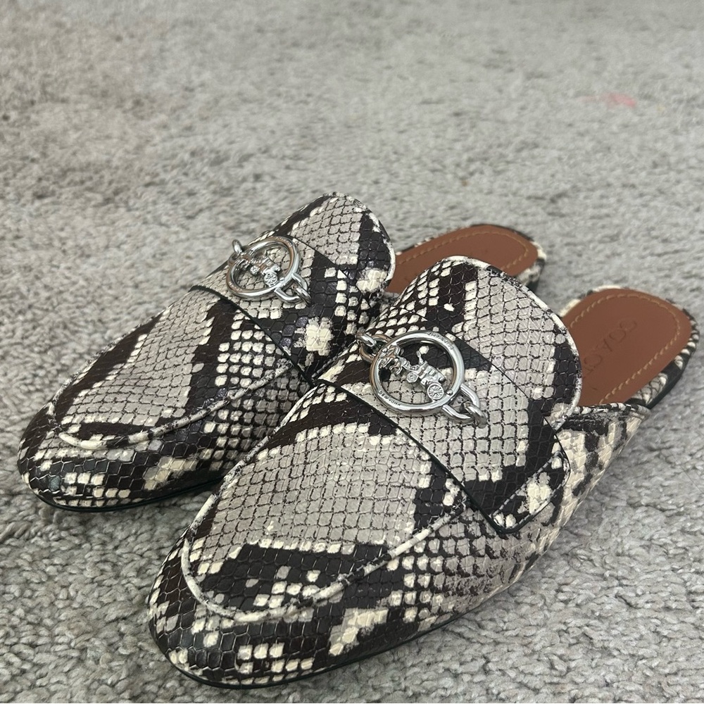 Coach Snakeskin Patterned Mules with Silver Accents